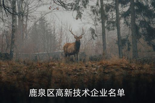 鹿泉區(qū)高新技術企業(yè)名單