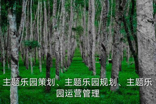 主題樂園策劃、主題樂園規(guī)劃、主題樂園運(yùn)營管理