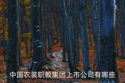 中國農(nóng)裝職教集團(tuán)上市公司有哪些