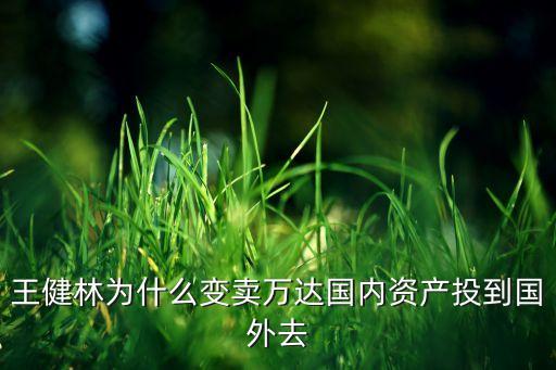 王健林為什么變賣萬達國內資產(chǎn)投到國外去