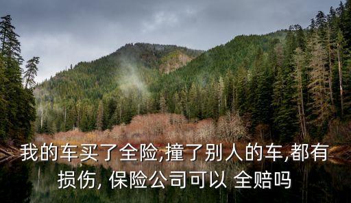 我的車(chē)買(mǎi)了全險(xiǎn),撞了別人的車(chē),都有損傷, 保險(xiǎn)公司可以 全賠嗎