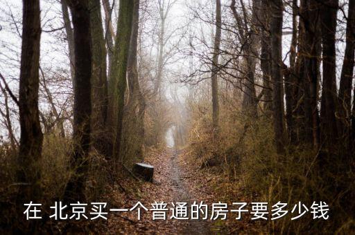 在 北京買(mǎi)一個(gè)普通的房子要多少錢(qián)