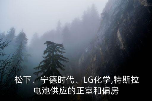 松下、寧德時(shí)代、LG化學(xué),特斯拉電池供應(yīng)的正室和偏房