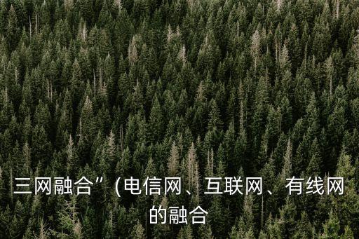 三網(wǎng)融合”(電信網(wǎng)、互聯(lián)網(wǎng)、有線網(wǎng)的融合