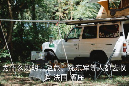 為什么姚明、趙薇、沈東軍等人都去收購(gòu) 法國(guó) 酒莊