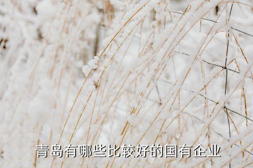 青島銀海旅游集團公司,漢中市銀海房地產(chǎn)企業(yè)集團公司