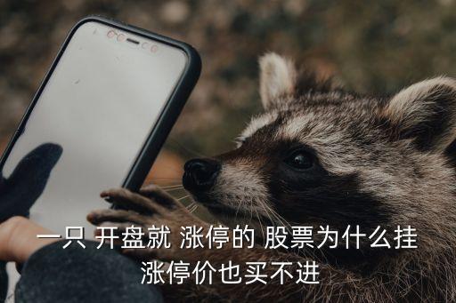 一只 開(kāi)盤就 漲停的 股票為什么掛 漲停價(jià)也買不進(jìn)
