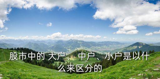 股市中的 大戶(hù)、 中戶(hù)、小戶(hù)是以什么來(lái)區(qū)分的