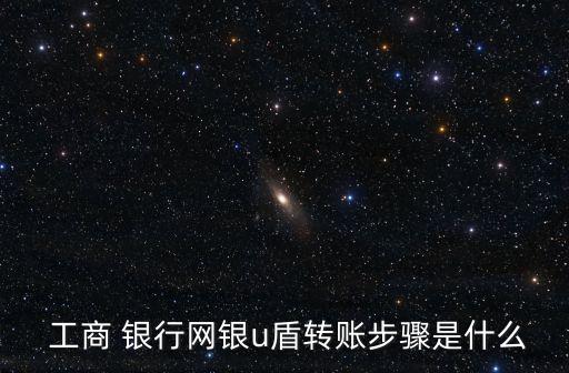  工商 銀行網銀u盾轉賬步驟是什么