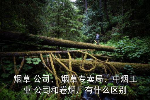  煙草 公司、 煙草專賣局、中煙工業(yè) 公司和卷煙廠有什么區(qū)別