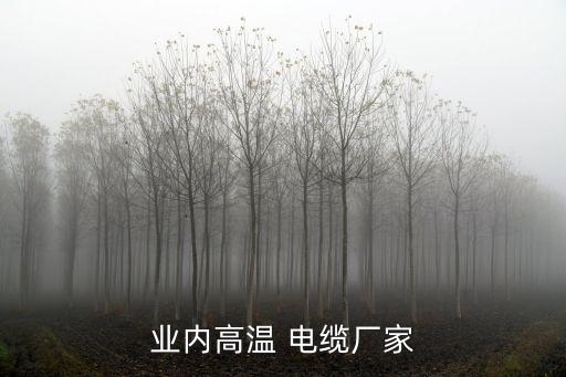 業(yè)內高溫 電纜廠家