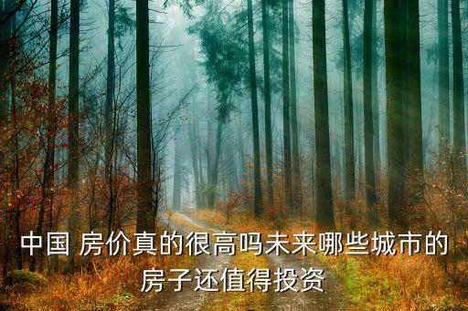 中國經(jīng)濟(jì)高房價(jià),房價(jià)下跌對中國經(jīng)濟(jì)的影響