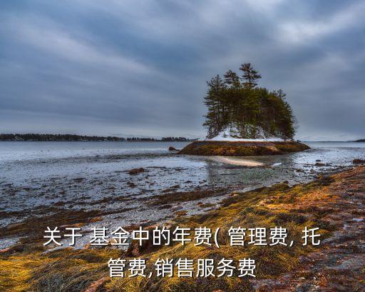 關(guān)于 基金中的年費(fèi)( 管理費(fèi), 托管費(fèi),銷(xiāo)售服務(wù)費(fèi)