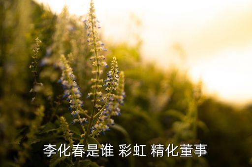 格瑞衛(wèi)康與彩虹精化集團關系