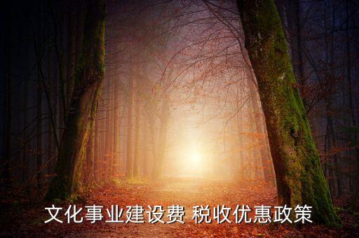 文化事業(yè)建設(shè)費 稅收優(yōu)惠政策