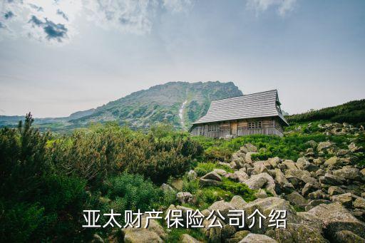  亞太財產保險公司介紹