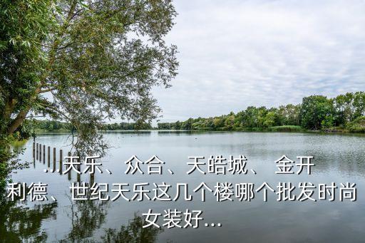 ...天樂、眾合、天皓城、 金開 利德、世紀(jì)天樂這幾個(gè)樓哪個(gè)批發(fā)時(shí)尚女裝好...