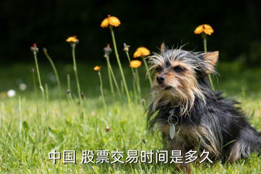 中國 股票交易時(shí)間是多久