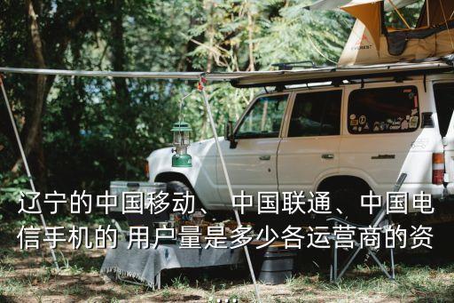 遼寧的中國移動、 中國聯(lián)通、中國電信手機的 用戶量是多少各運營商的資...