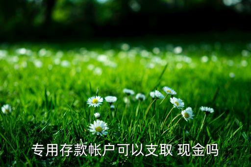專用存款帳戶可以支取 現金嗎