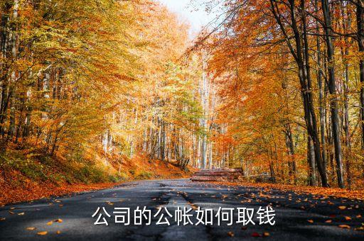  公司的公帳如何取錢(qián)