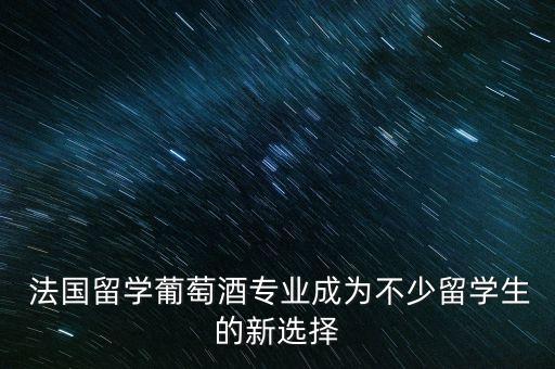  法國(guó)留學(xué)葡萄酒專(zhuān)業(yè)成為不少留學(xué)生的新選擇