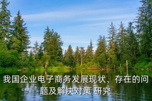 我國企業(yè)電子商務(wù)發(fā)展現(xiàn)狀、存在的問題及解決對策 研究