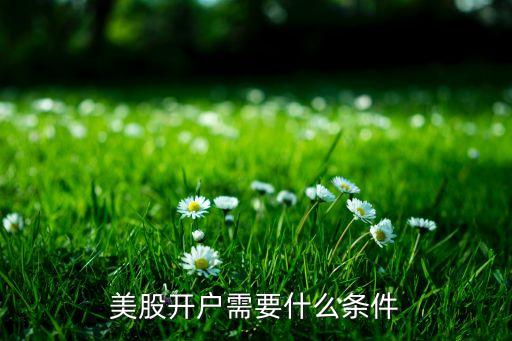 美股開(kāi)戶需要什么條件