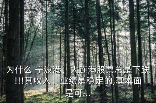 為什么 寧波港、大連港股票總是下跌!!!其收入、業(yè)績是穩(wěn)定的,基本面是可...