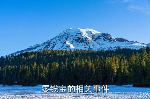  零錢(qián)寶的相關(guān)事件