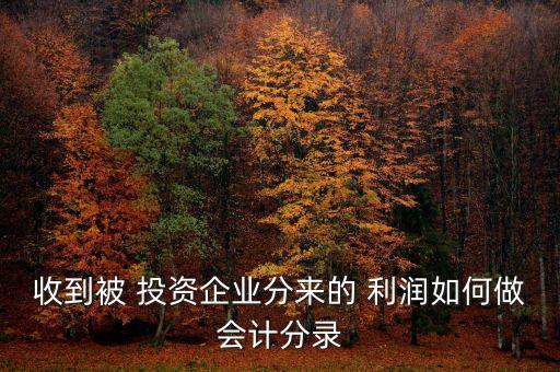 收到被 投資企業(yè)分來的 利潤如何做會(huì)計(jì)分錄