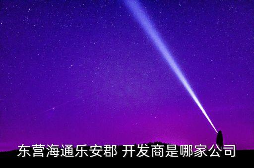 東營(yíng)海通樂(lè)安郡 開發(fā)商是哪家公司