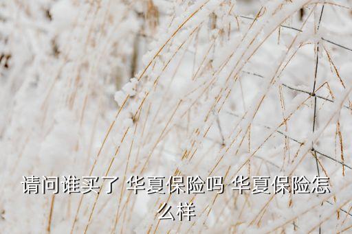 請(qǐng)問(wèn)誰(shuí)買了 華夏保險(xiǎn)嗎 華夏保險(xiǎn)怎么樣