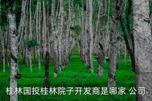 桂林國(guó)投桂林院子開發(fā)商是哪家 公司