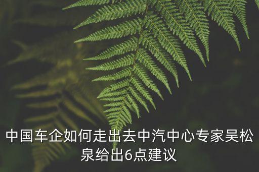 中國(guó)車(chē)企如何走出去中汽中心專(zhuān)家吳松泉給出6點(diǎn)建議