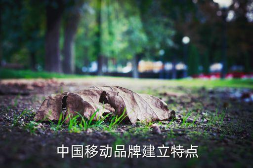  中國移動(dòng)品牌建立特點(diǎn)