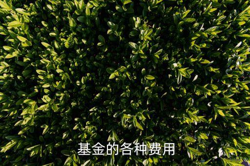  基金的各種費用