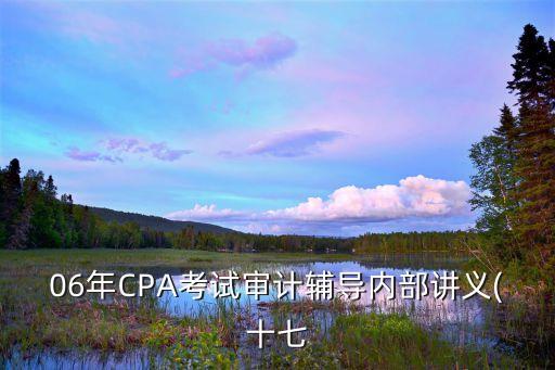 06年CPA考試審計輔導內(nèi)部講義(十七