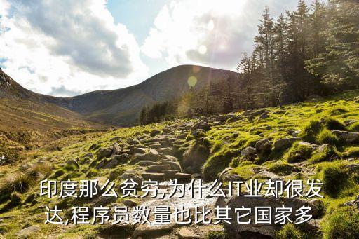  印度那么貧窮,為什么IT業(yè)卻很發(fā)達(dá),程序員數(shù)量也比其它國(guó)家多