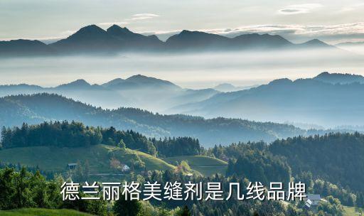  德蘭麗格美縫劑是幾線(xiàn)品牌