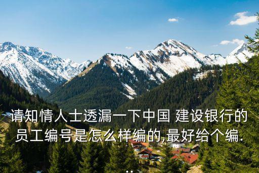 建設銀行操作員代碼是什么,中國建設銀行操作員代碼是什么