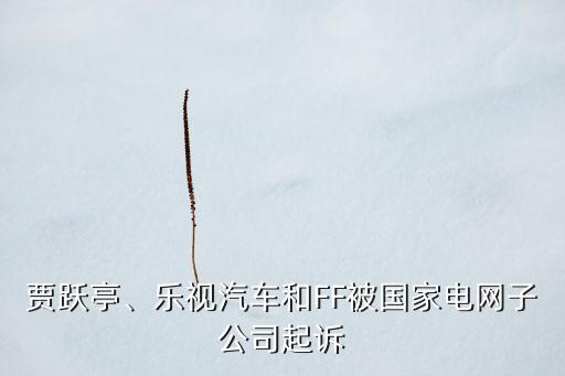 賈躍亭、樂視汽車和FF被國家電網子公司起訴
