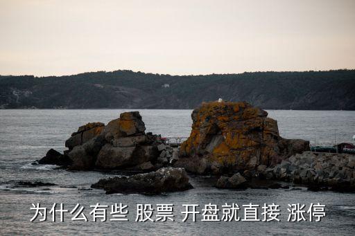 為什么有些 股票 開(kāi)盤就直接 漲停