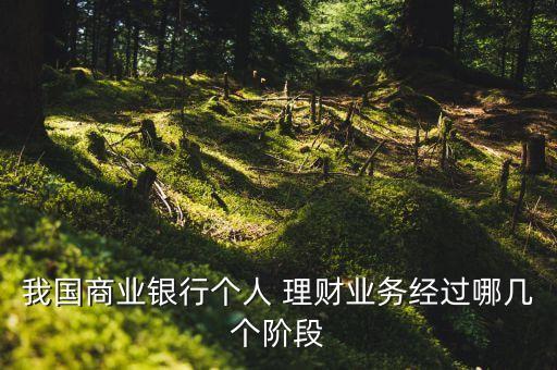 我國商業(yè)銀行個人 理財業(yè)務經過哪幾個階段