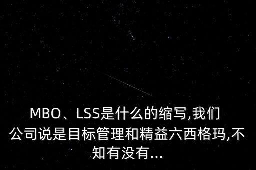 MBO、LSS是什么的縮寫,我們 公司說是目標(biāo)管理和精益六西格瑪,不知有沒有...