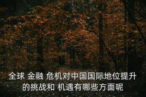 全球 金融 危機(jī)對(duì)中國(guó)國(guó)際地位提升的挑戰(zhàn)和 機(jī)遇有哪些方面呢