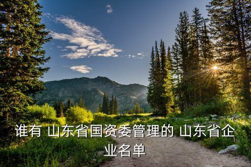 誰有 山東省國(guó)資委管理的 山東省企業(yè)名單