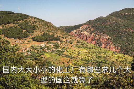 國內大大小小的化工廠有哪些求幾個大型的國企就算了