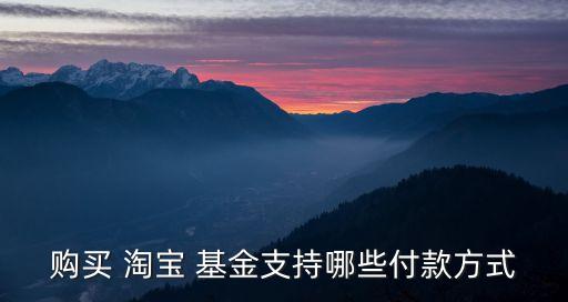 購(gòu)買(mǎi) 淘寶 基金支持哪些付款方式