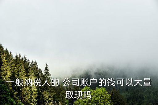 一般納稅人的 公司賬戶的錢(qián)可以大量取現(xiàn)嗎